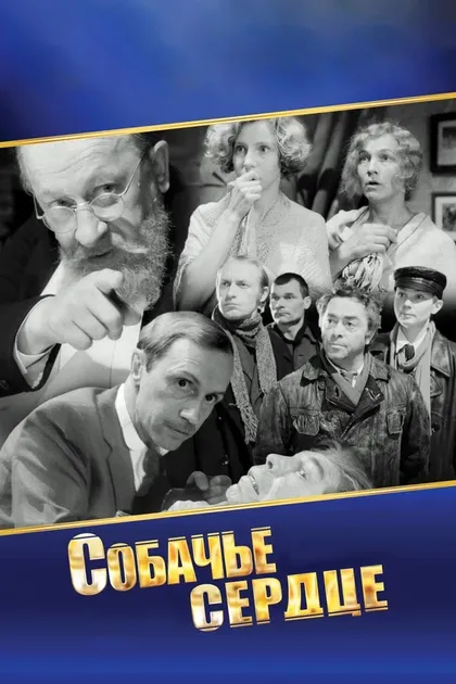Михаил Штейн